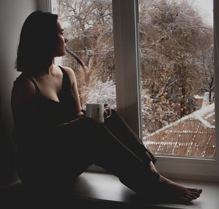 fenster bafa